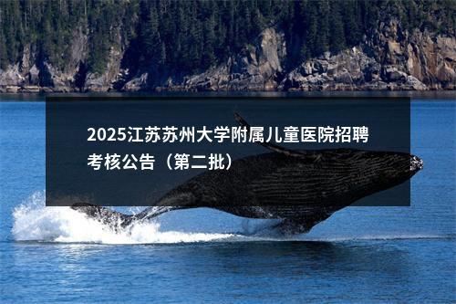 2025江苏苏州大学附属儿童医院招聘考核公告（第二批）                进入阅读模式 图片