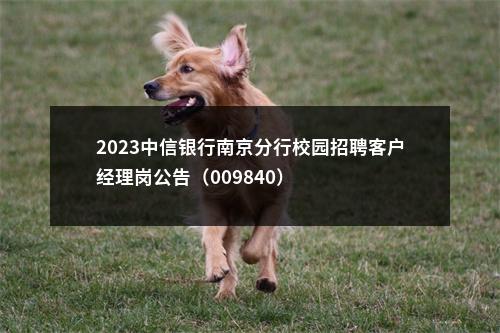 2023中信银行南京分行校园招聘客户经理岗公告（009840）                进入阅读模式 图片